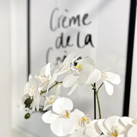 Ruhiger Familientraum Fuers Wochenende Oder Laengerfristigen Aufenthalt Wiener Neustadt